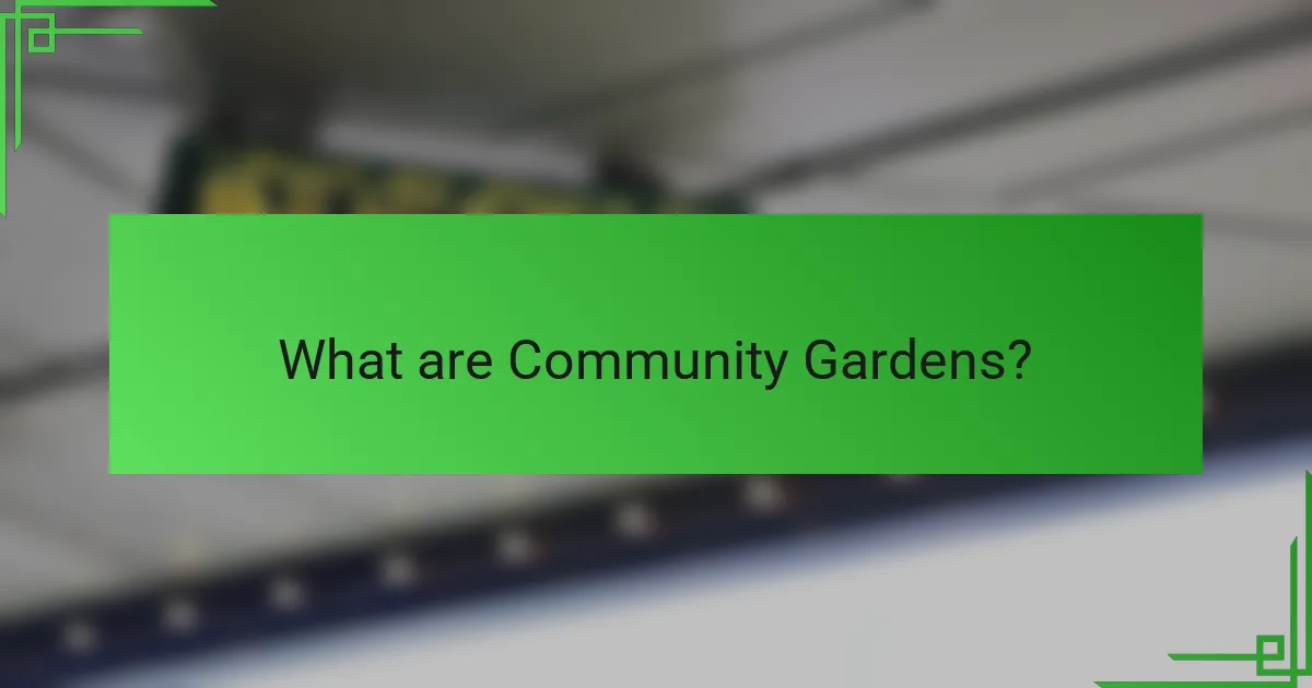 What are Community Gardens?