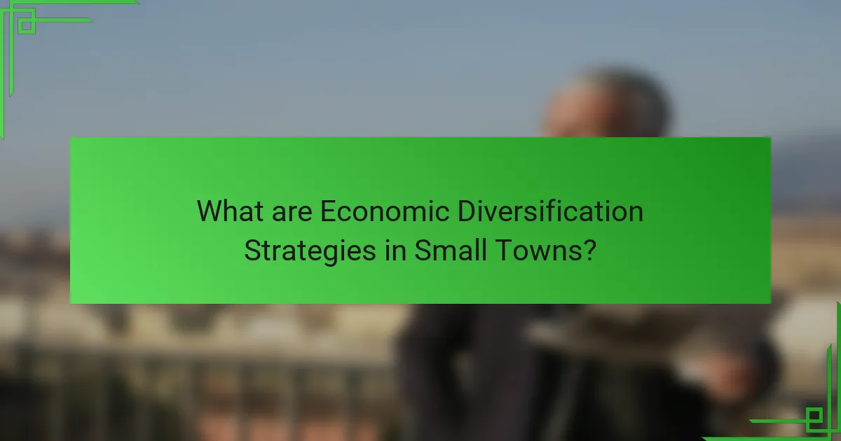 What are Economic Diversification Strategies in Small Towns?
