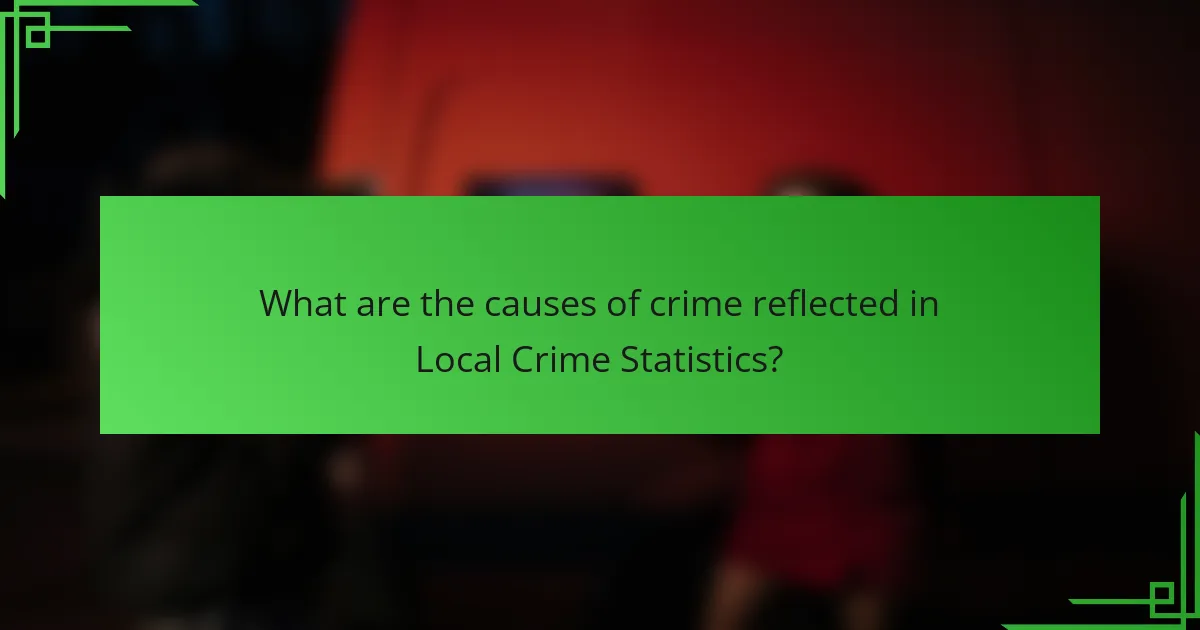 What are the causes of crime reflected in Local Crime Statistics?
