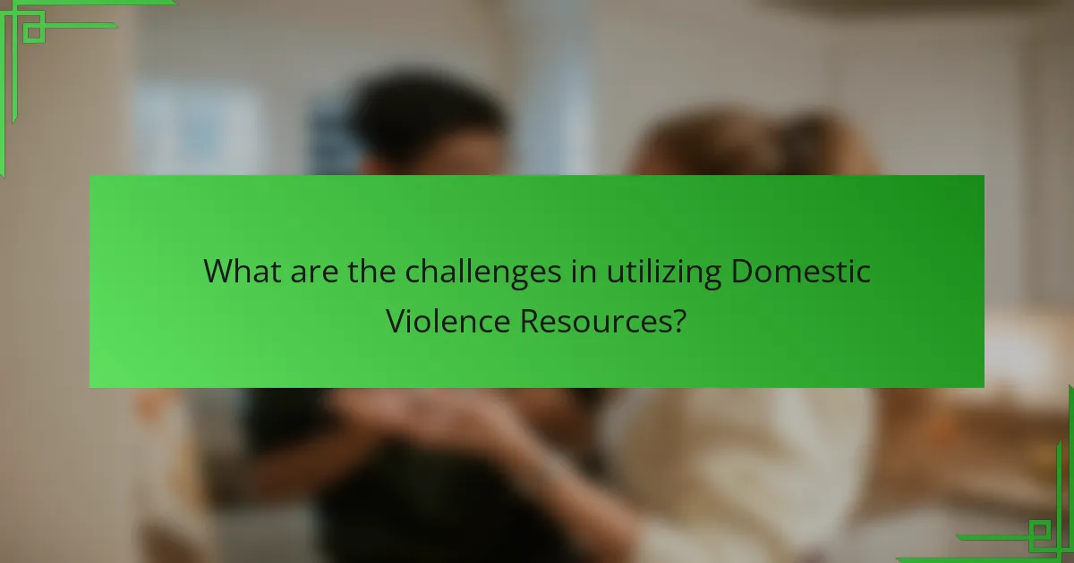 What are the challenges in utilizing Domestic Violence Resources?