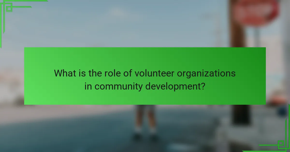 What is the role of volunteer organizations in community development?